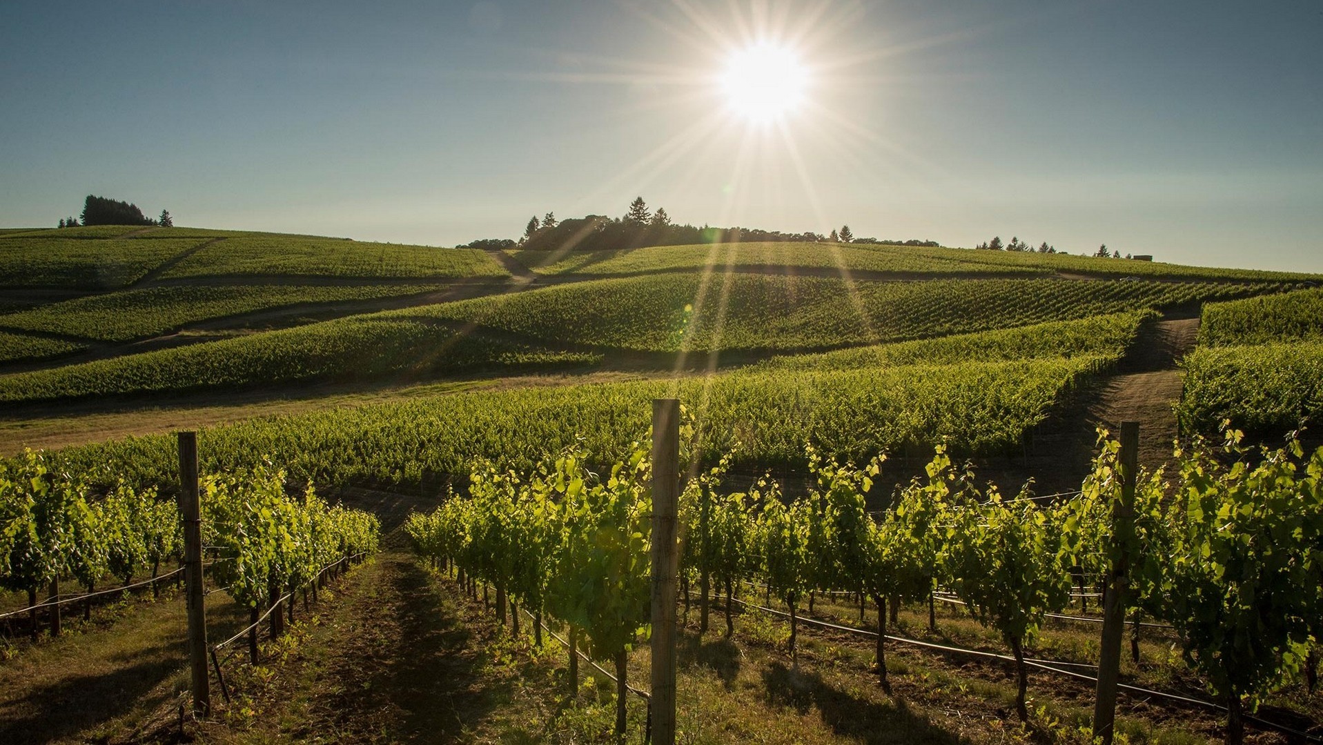 Virpazar Excursion in Montenegro