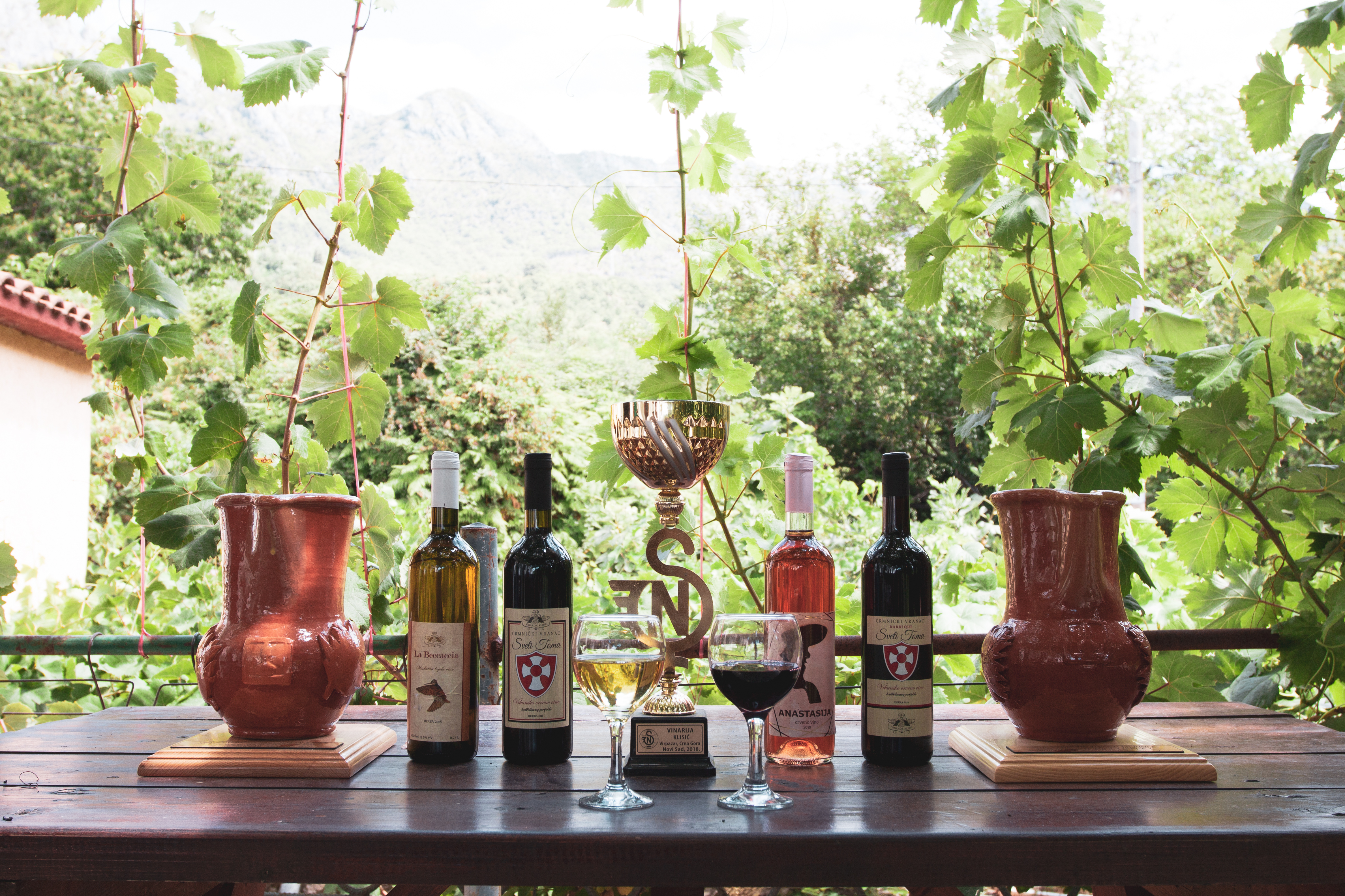 Montenegro vineyard food tour