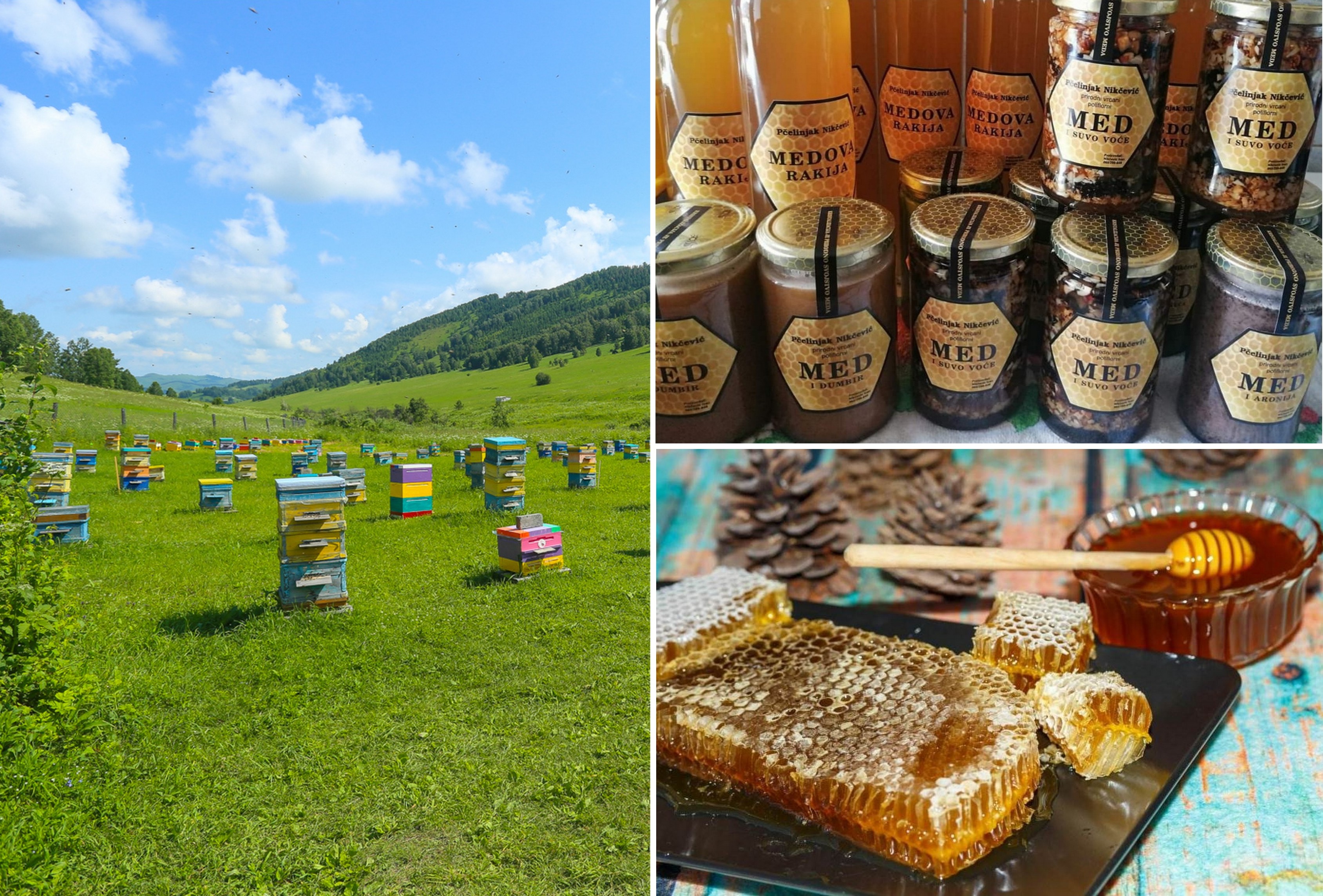 Montenegro bee apiary